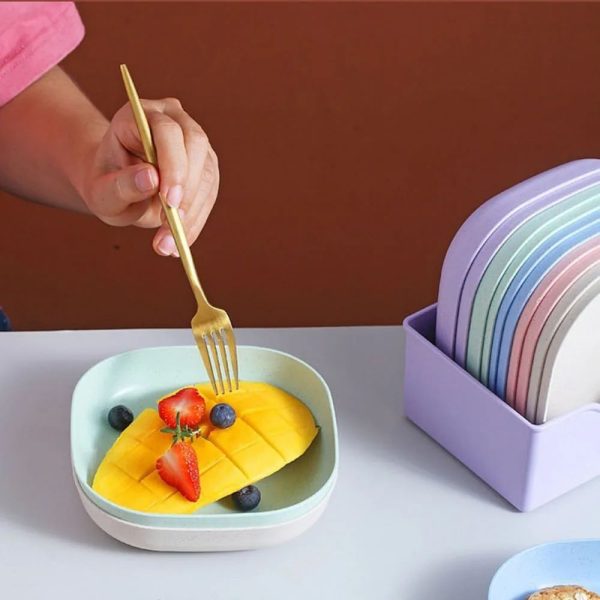 Food Grade Plastic Household Dining Plates 10 pcs - Image 4