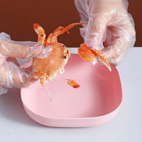 Food Grade Plastic Household Dining Plates 10 pcs - Image 2